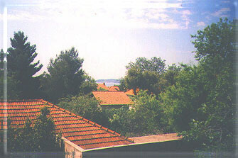 Dajak apartments  Peljesac, Croatia - window view